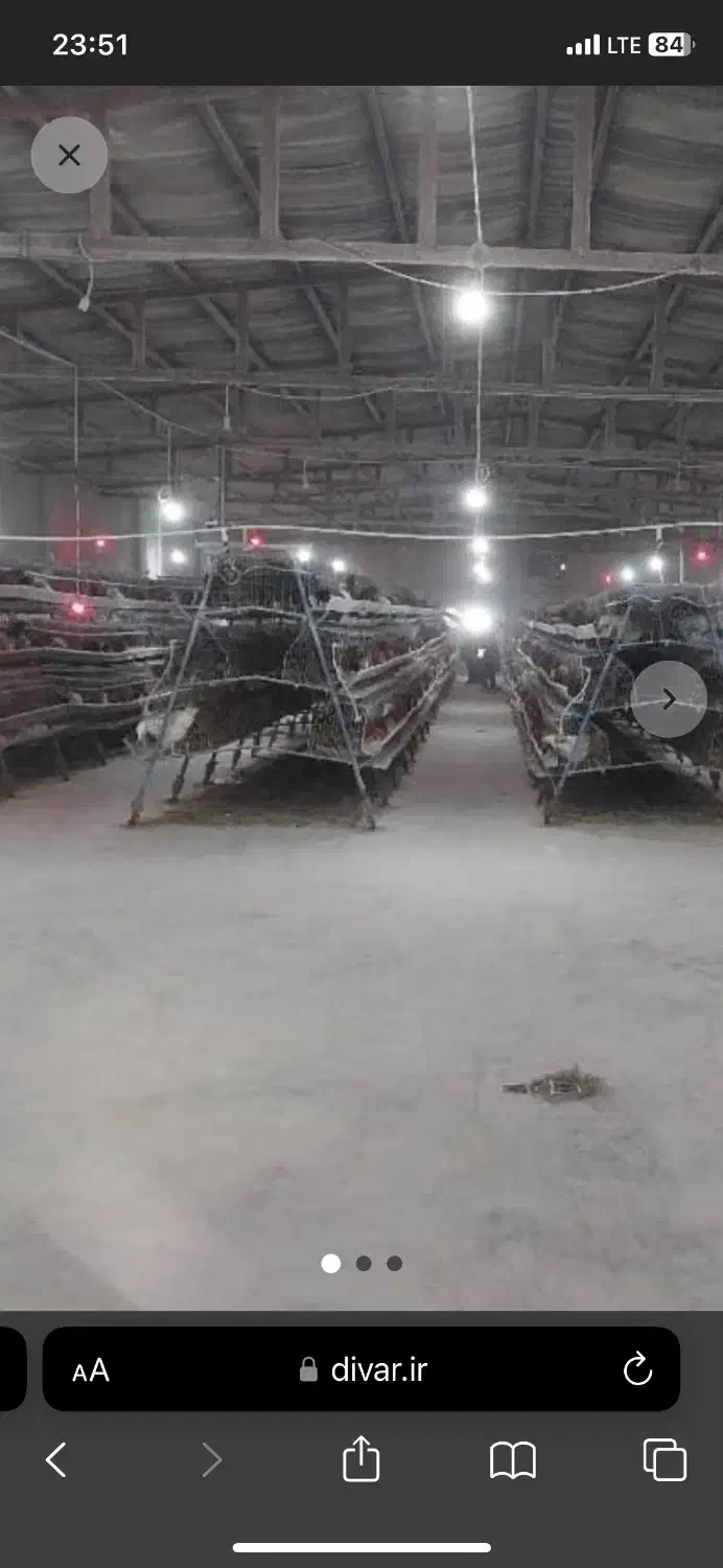 کود مرغ|خدمات باغبانی و درختکاری|صفادشت, |دیوار