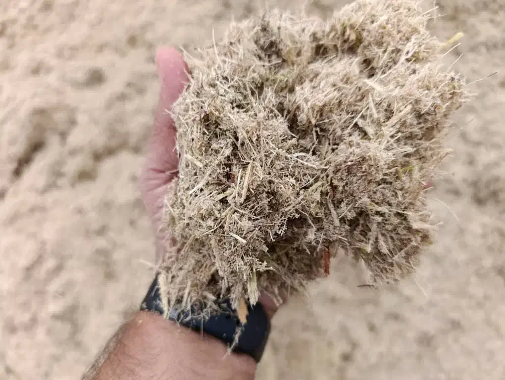 کاه نیشکر باگاس|عمده‌فروشی|دزفول, |دیوار