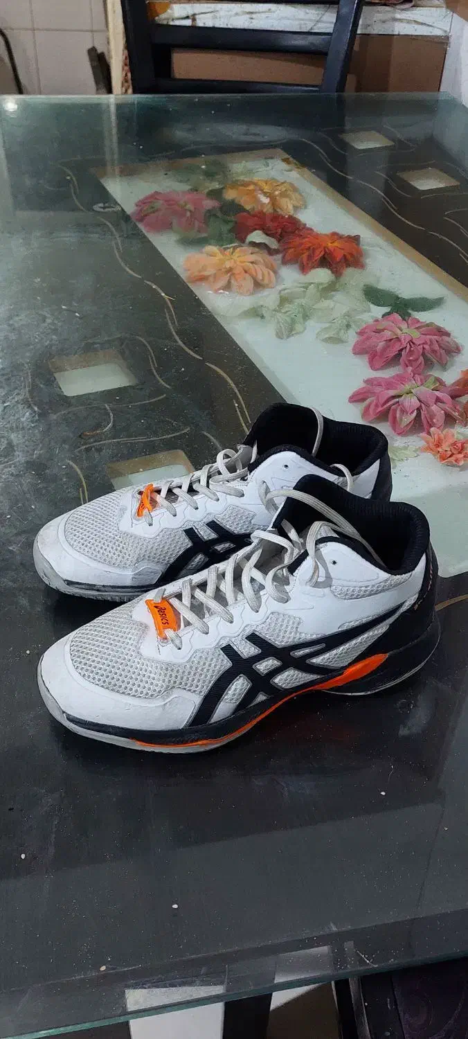 کتونی والیبال اسیکس دخترونه|تجهیزات ورزشی|ساری, |دیوار