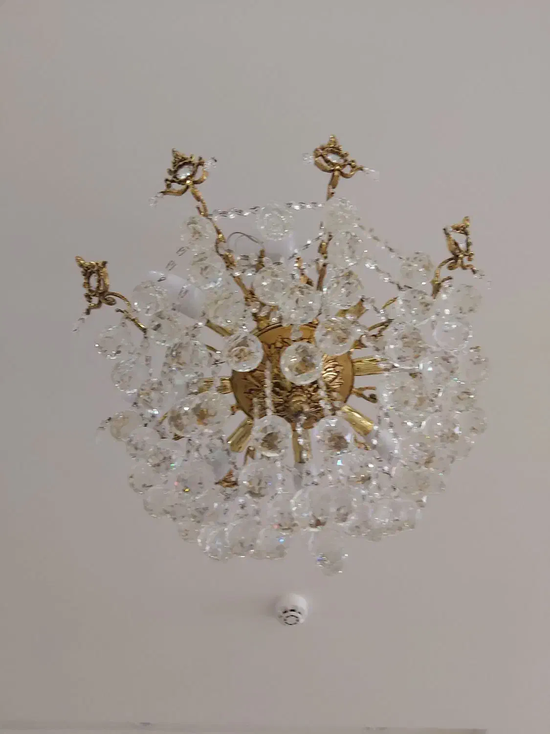 لوستر|لوستر و چراغ آویز|مشهد, دانشجو|دیوار