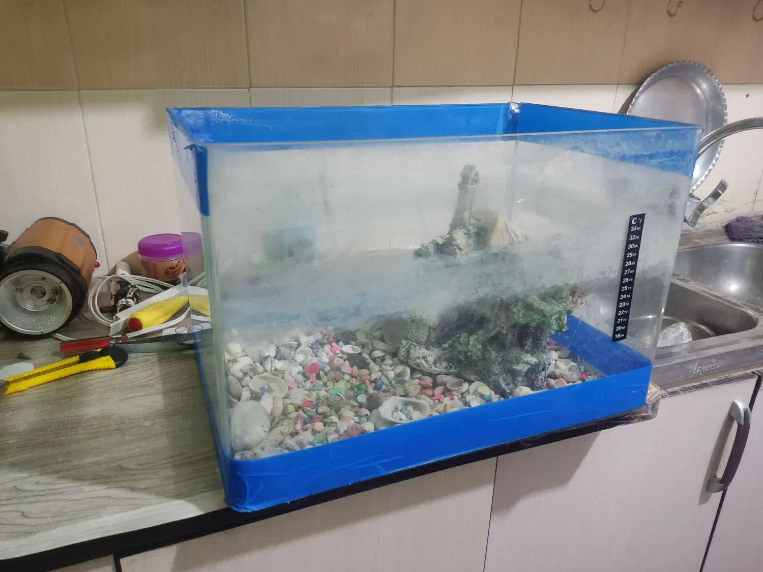 آکواریوم شیشه خم|ماهی|نظرآباد, رسالت|دیوار