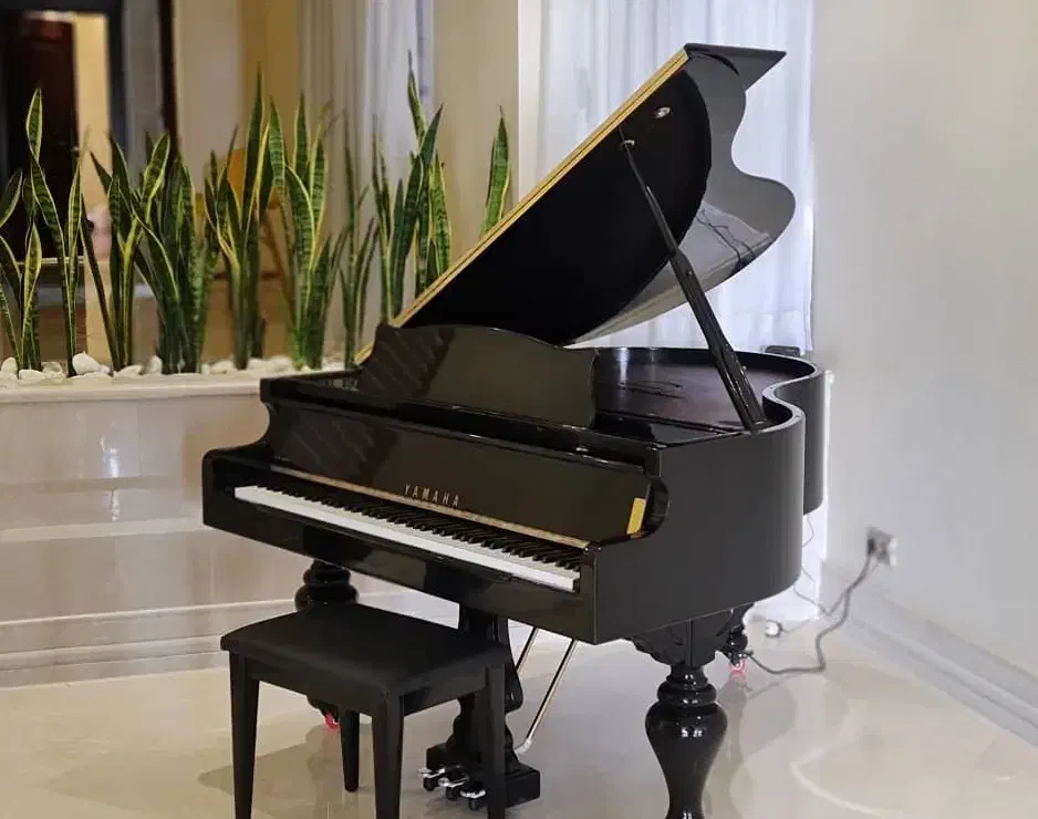 فروش  پیانو گرند یاماها)) برای تالارها  تاج دار|پیانو، کیبورد، آکاردئون|تهران, سعادت‌آباد|دیوار