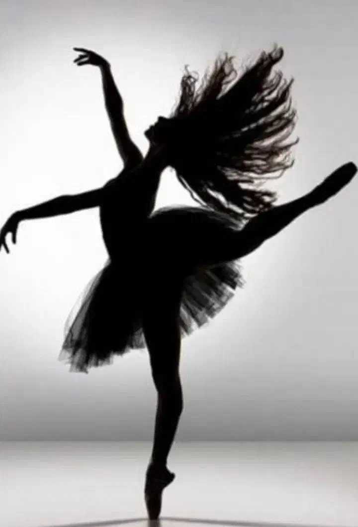 آموزش دنس فوق حرفه ای|خدمات آموزشی|گرگان, |دیوار