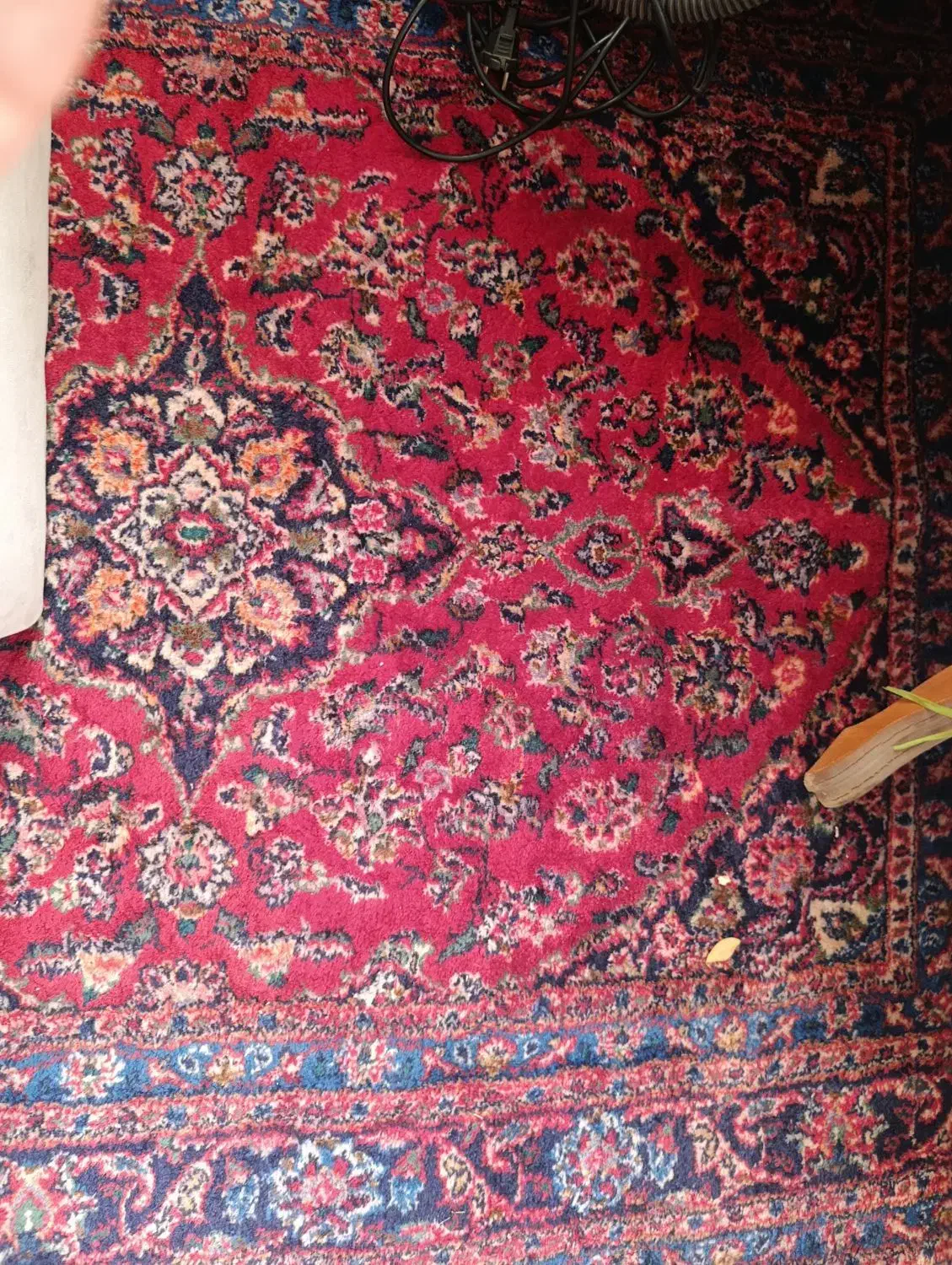 قالیچه دست باف|گلیم، جاجیم، گبه|نیشابور, کلاغان|دیوار