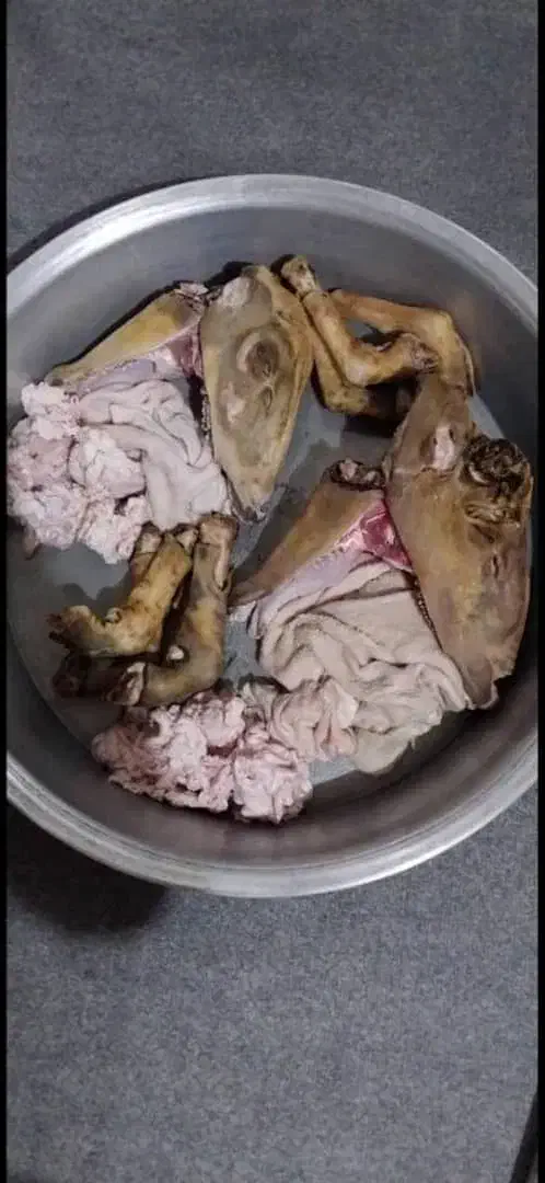 کله پاچه فروشی - تحویل رایگان در تالش|خوردنی و آشامیدنی|اسالم, |دیوار