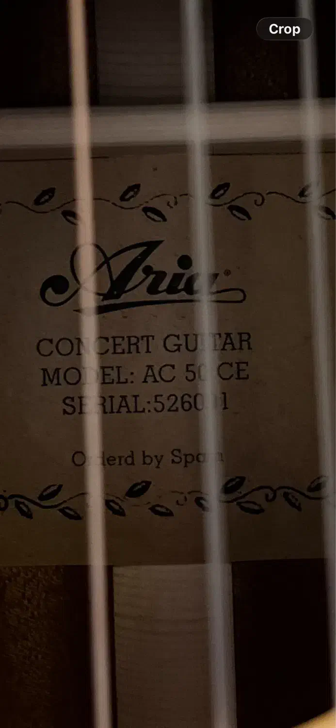 گیتار اریا ce50 اصلی|گیتار، بیس، امپلیفایر|کرمان, |دیوار