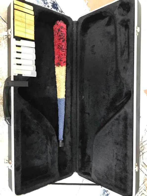 ساکسیفون تنور|سازهای بادی|اردبیل, |دیوار