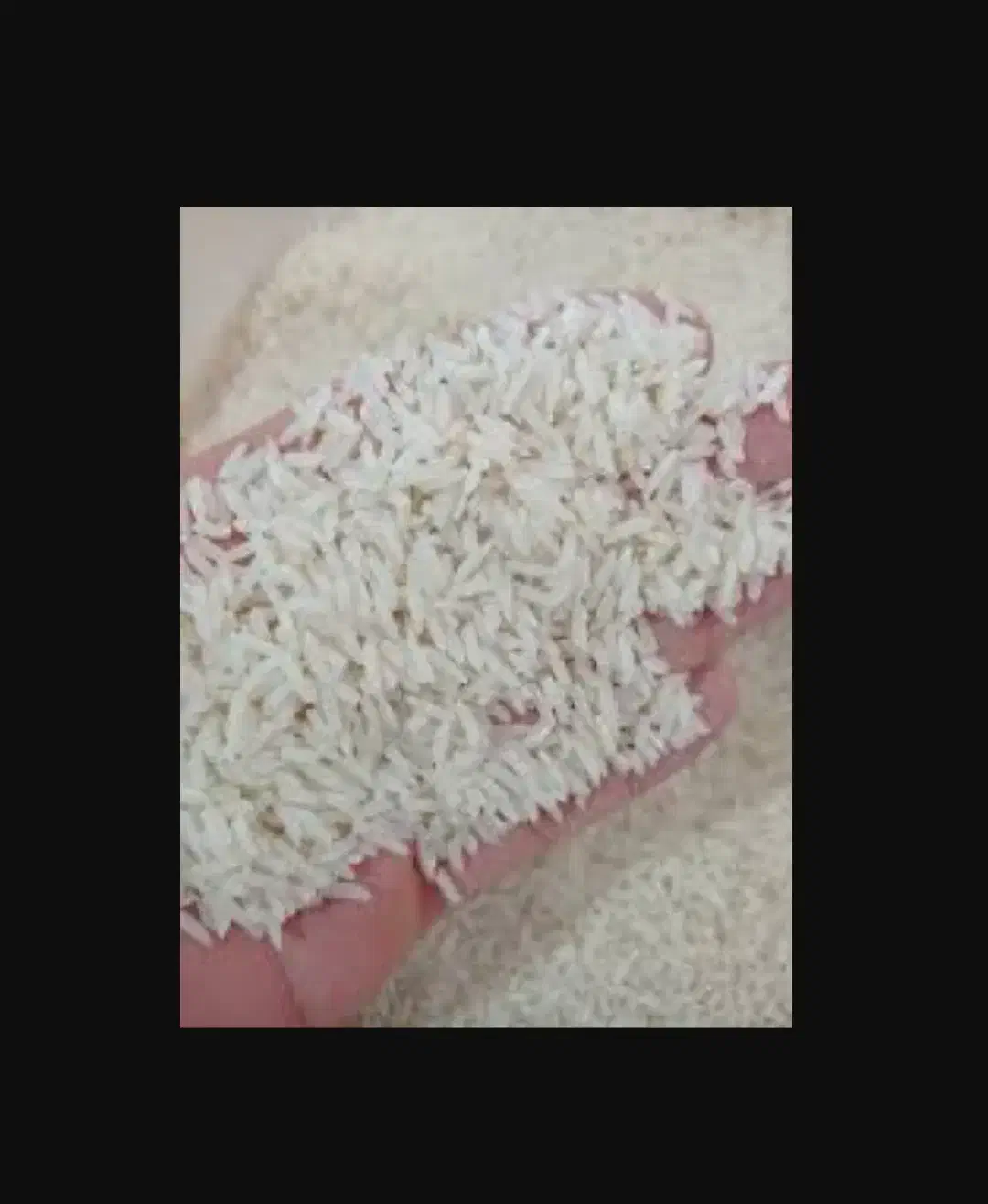 برنج هاشمی|خوردنی و آشامیدنی|رشت, پل تالشان|دیوار