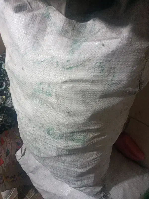 زغال دوگونی|کوهنوردی و کمپینگ|دوگنبدان, |دیوار