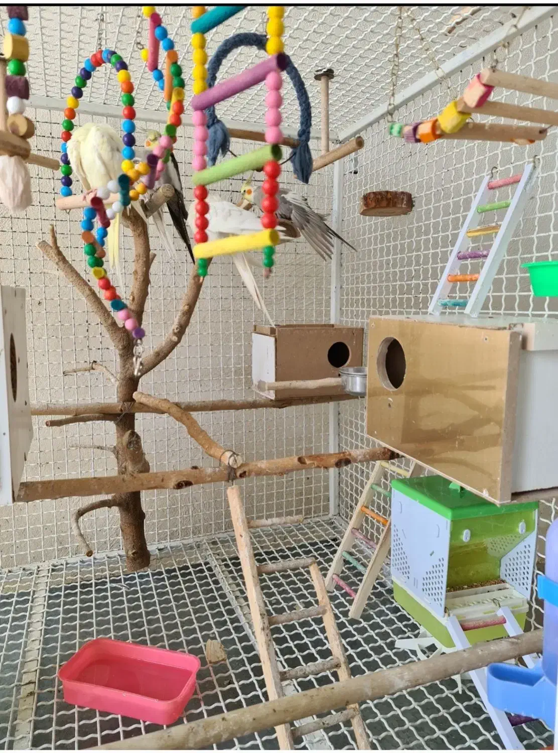 قفس پرنده|لوازم جانبی حیوانات|سرپل ذهاب, |دیوار