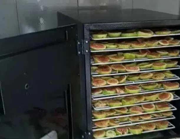 دستگاه میوه خشک کن .۱۰ طبقه|سایر لوازم برقی|قوچان, |دیوار