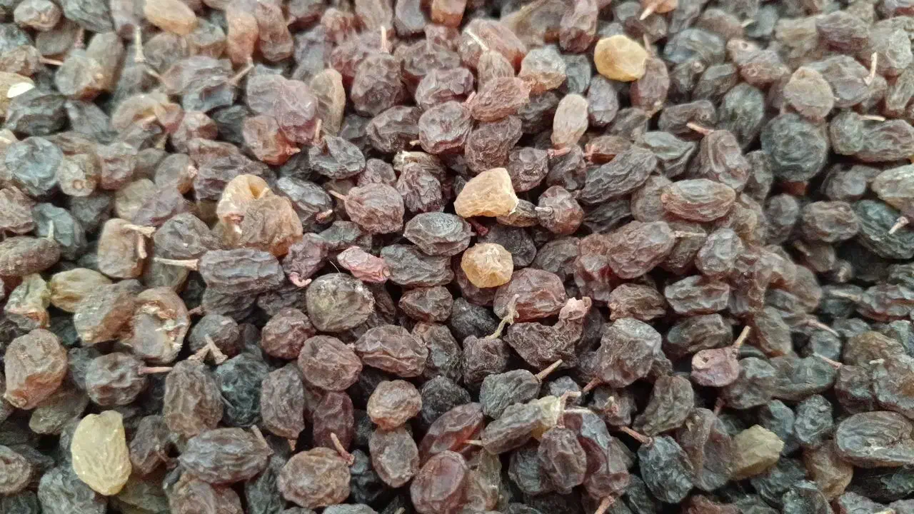 کشمش پلویی آفتاب خشک ومویز|خوردنی و آشامیدنی|کهریزک, |دیوار