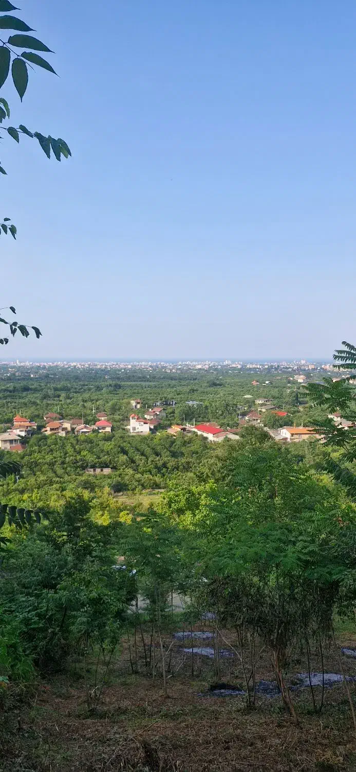 زمین ۱۶۰۰ متری|فروش زمین و ملک کلنگی|خرم‌آباد (تنکابن), |دیوار