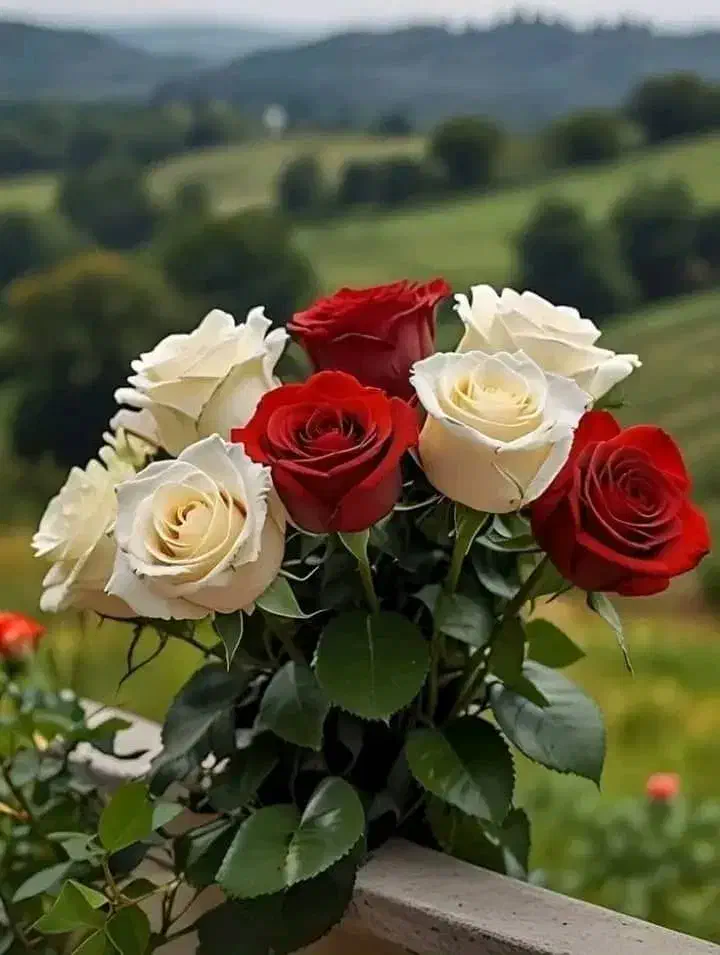 راهنمایی مجردی|فعالیت داوطلبانه|سنندج, |دیوار