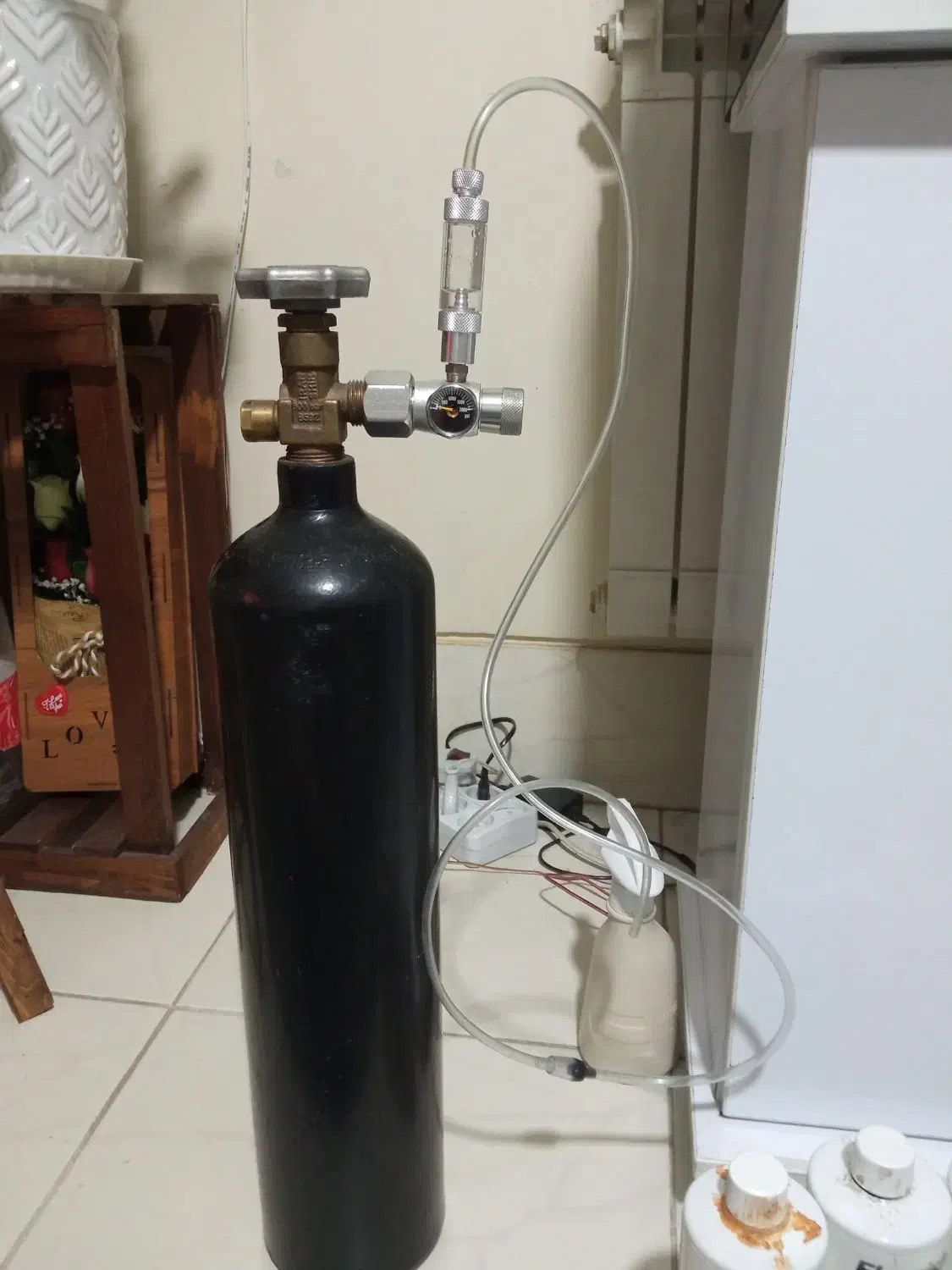 کپسول ونور وخاک بستر|ماهی|شیراز, نصر|دیوار