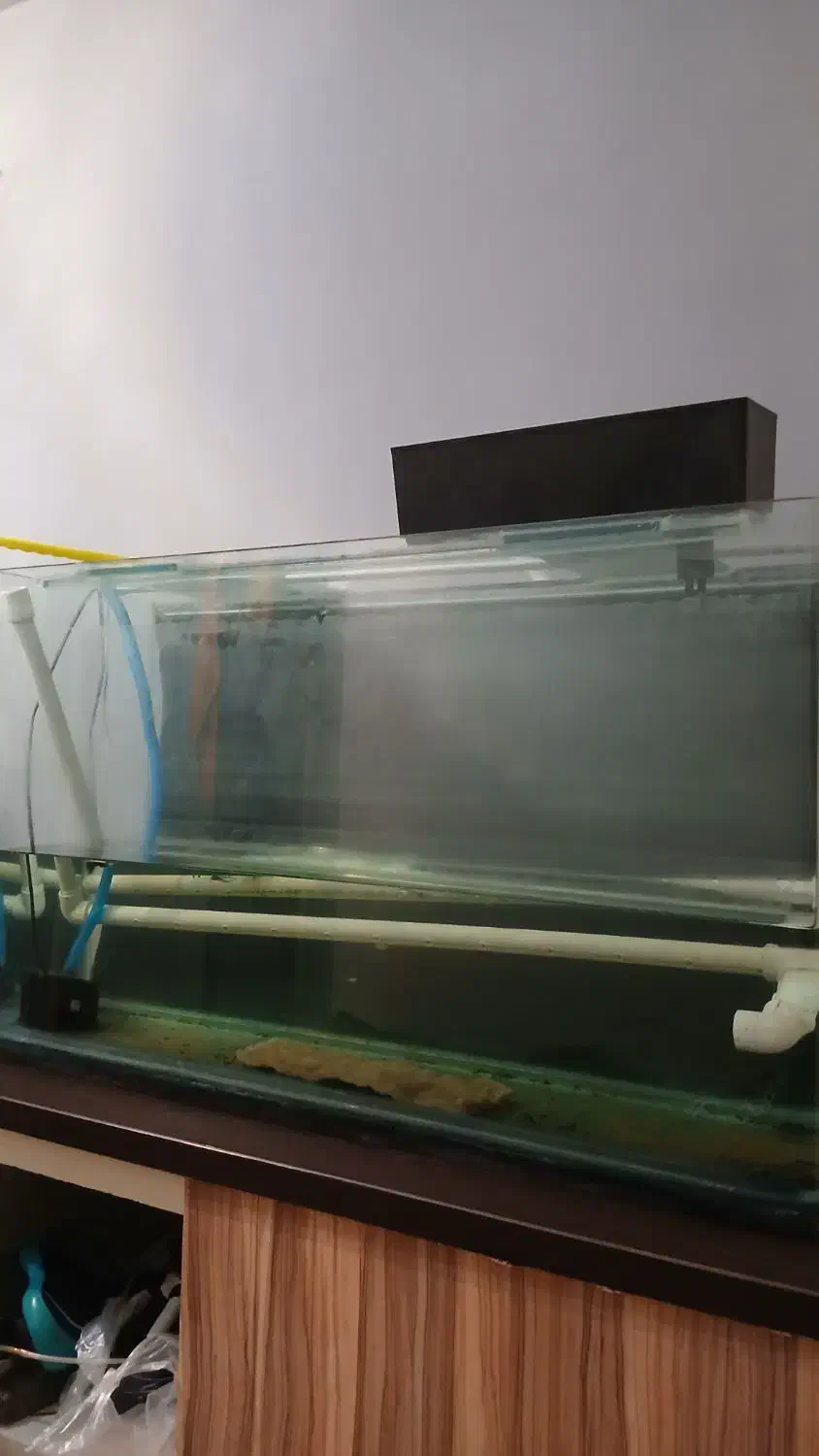 اکواریوم شیشه خم شرکتی|ماهی|فردیس, شهرک هفده شهریور|دیوار