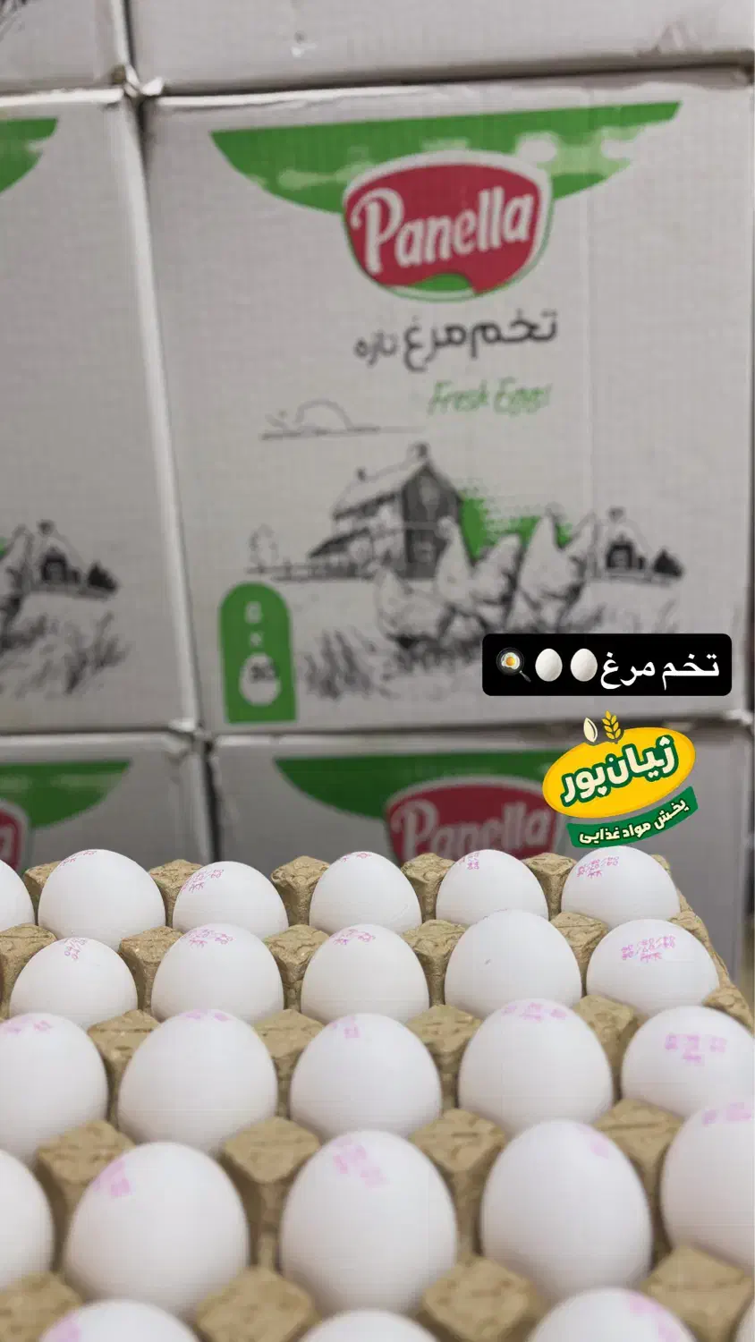 تخم مرغ دُرشت پانلا پخش ژیان پور|خوردنی و آشامیدنی|شوشتر, |دیوار