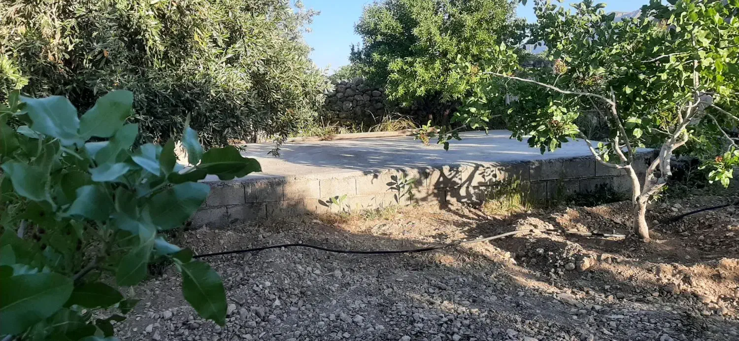 فروش باغ بادام وپسته|فروش دفتر صنعتی، کشاورزی، تجاری|کوهنجان, |دیوار