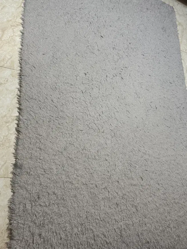 فرش۴متری|فرش|همدان, |دیوار