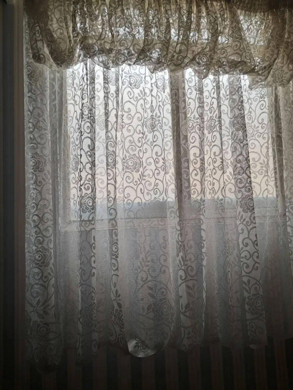 پرده تور|پرده، رانر، رومیزی|مشهد, شهرآرا|دیوار