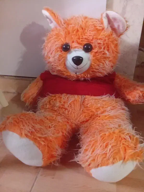 خرس|اسباب‌بازی بچه|شاهدشهر, |دیوار