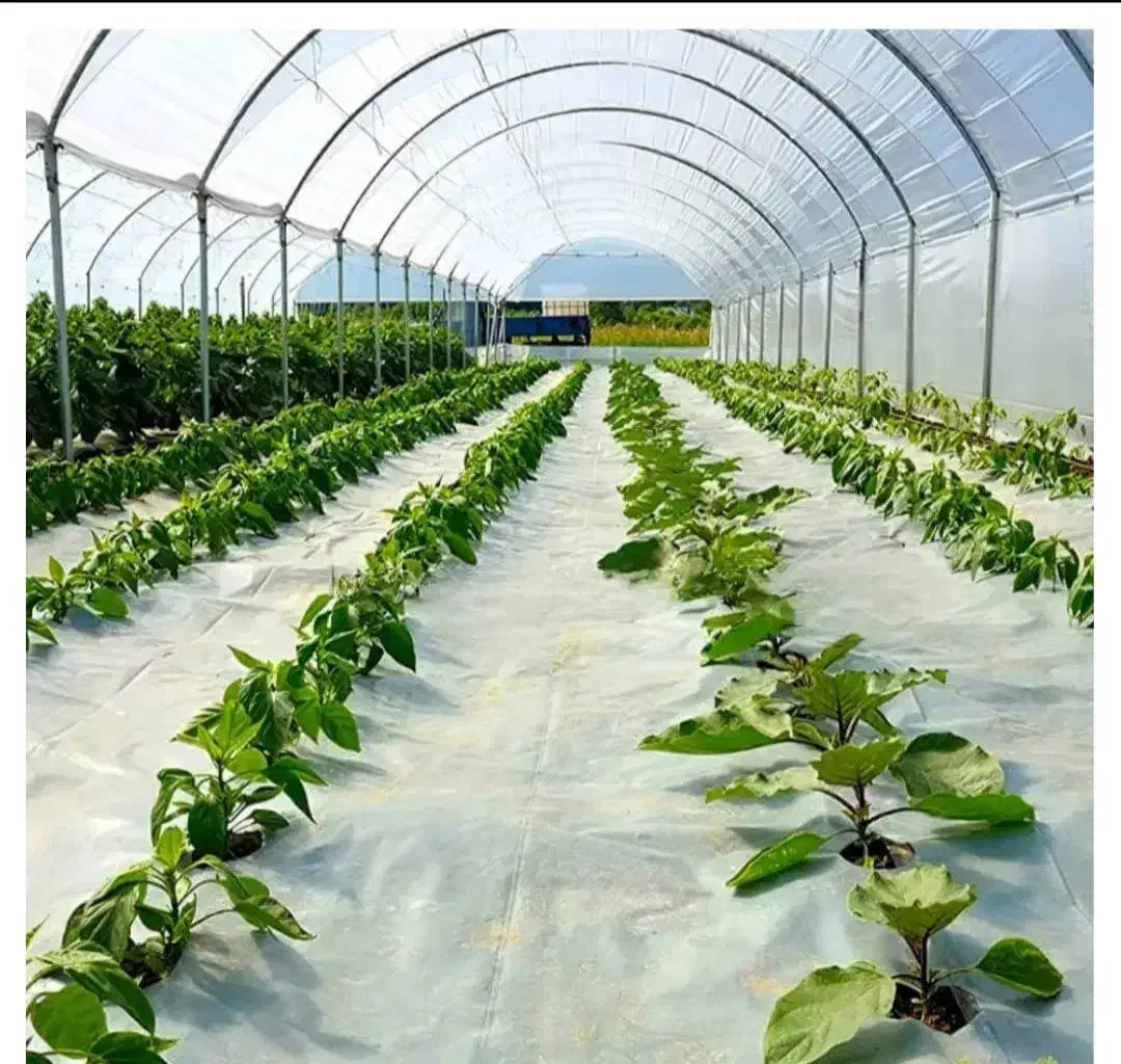 روکش کشاورزی و درختی(مالچ)|خدمات باغبانی و درختکاری|تربت جام, اسماعیل آباد|دیوار