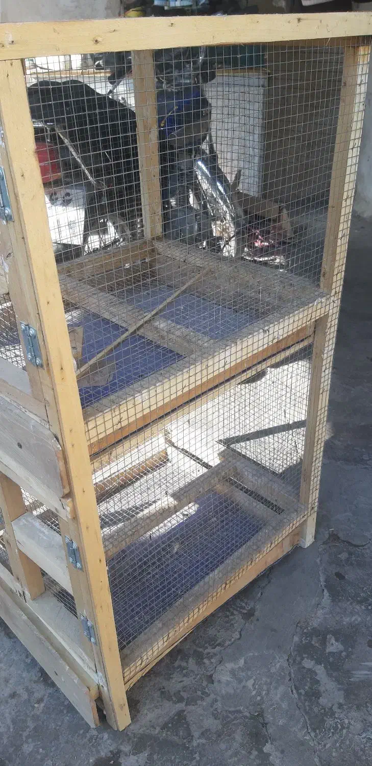 قفس جفت خونه دو طبقه|لوازم جانبی حیوانات|شوشتر, |دیوار