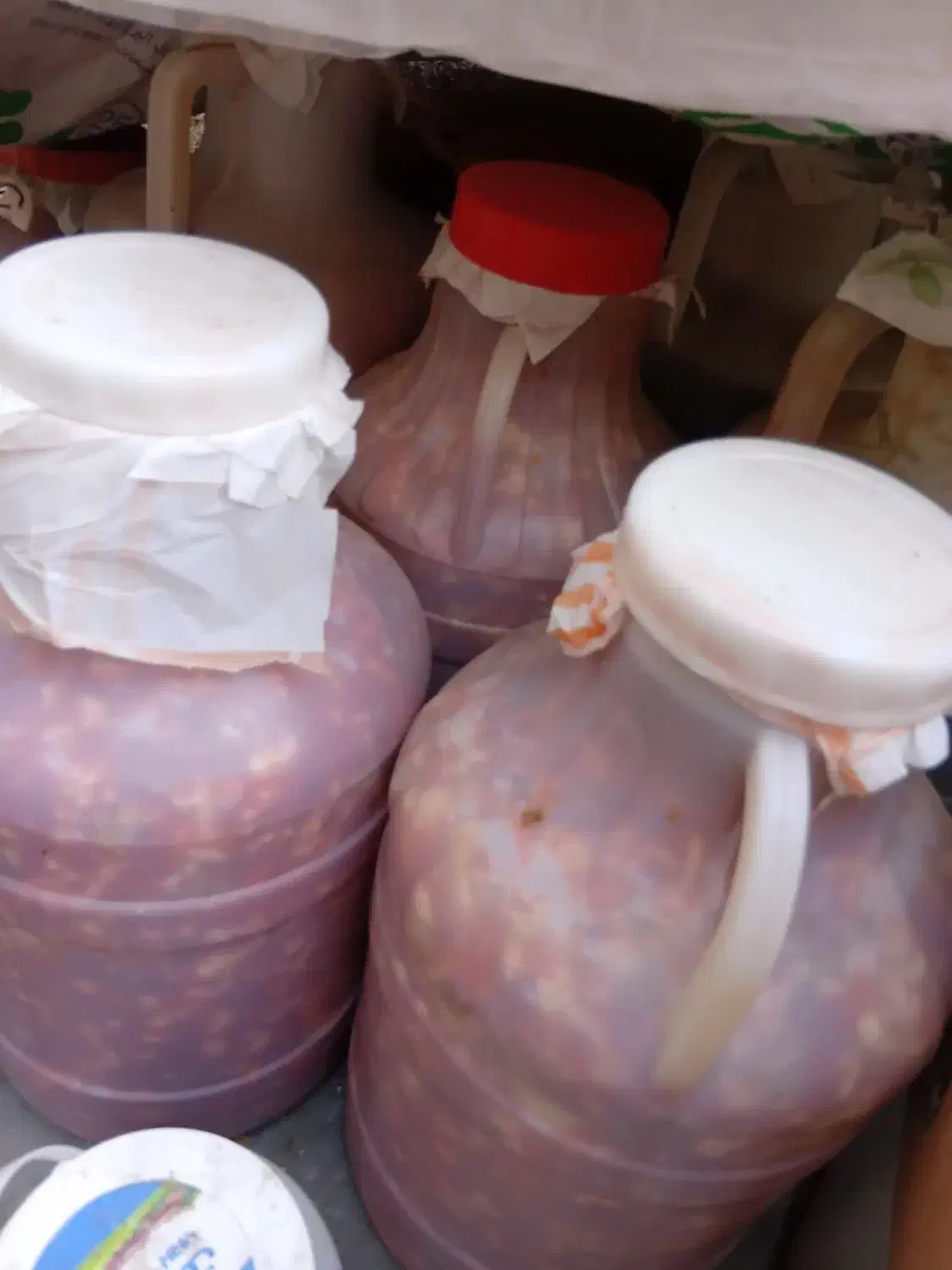 سالاد ترشی نیشابور ارگانیک و بهداشتی و خانگی|خوردنی و آشامیدنی|مشهد, انقلاب|دیوار