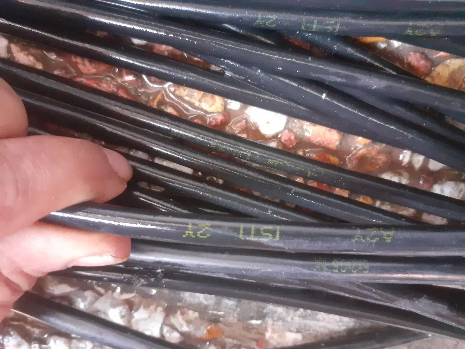 کابل مخابراتی|مودم و تجهیزات شبکه|ساری, |دیوار