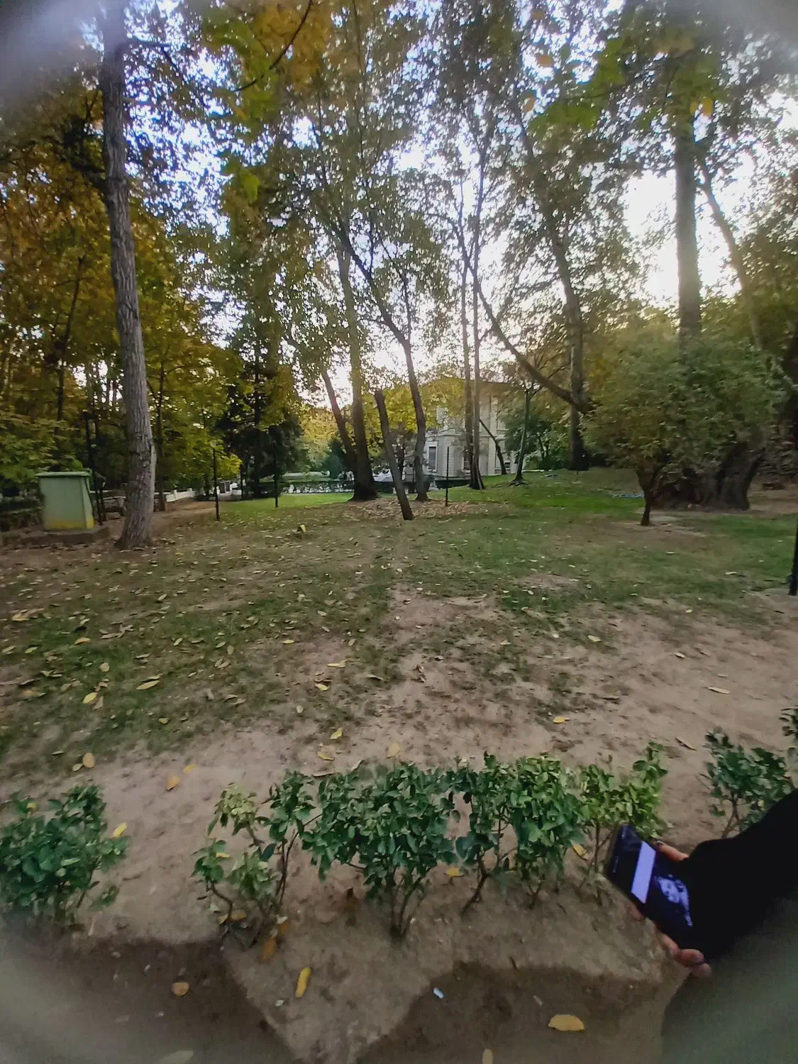 سگ پیدا شده محدوده هشتگرد|حیوانات|کرج, کرج نو|دیوار