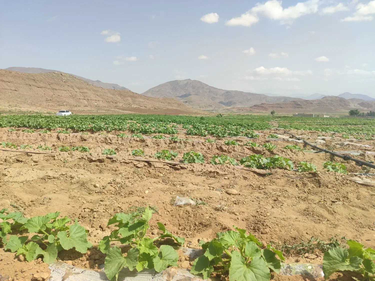 زمین گمند|فروش دفتر صنعتی، کشاورزی، تجاری|خواجه, |دیوار