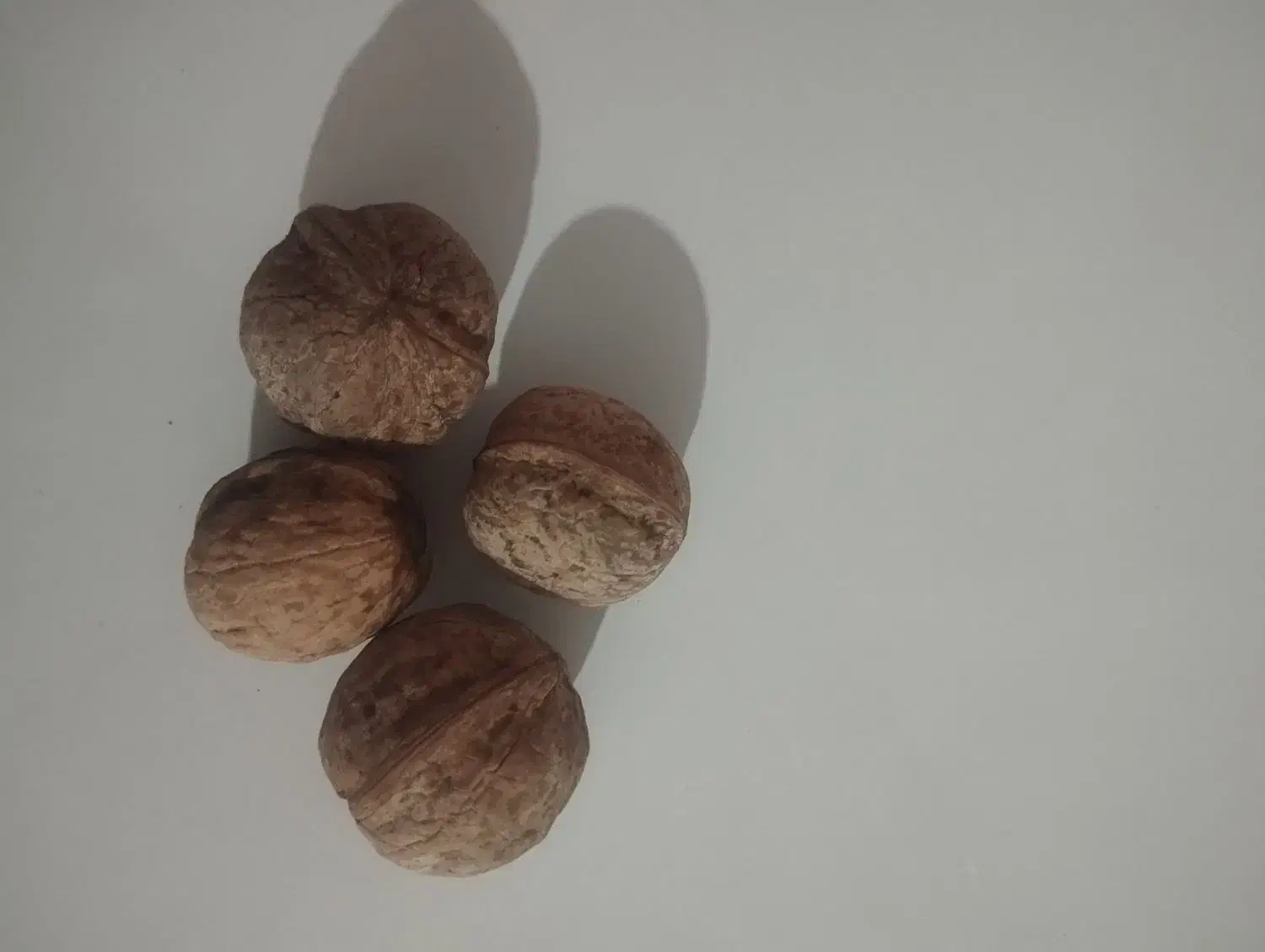 گردو|خوردنی و آشامیدنی|نیشابور, مازول|دیوار