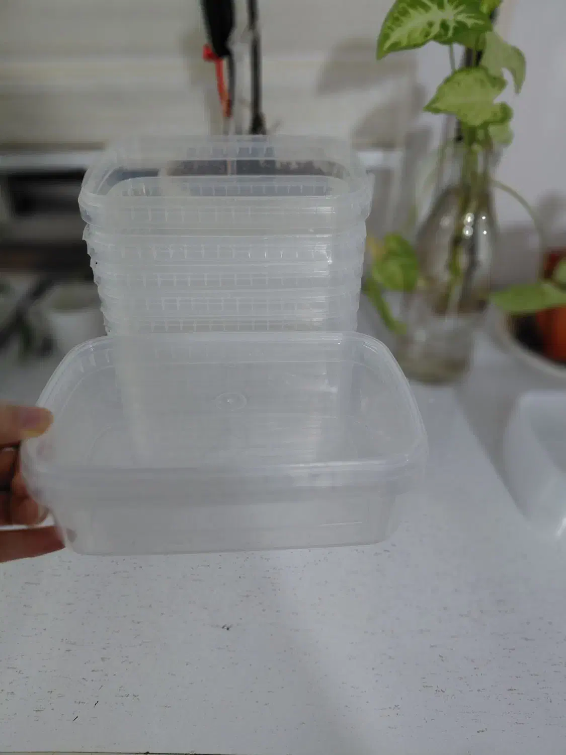 *ظرف پلاستیکی دَر کیپ ،ظرف فریزری کاملا شفاف*|ظروف نگهدارنده، پلاستیکی، یک‌بارمصرف|فردیس, شهرک شهید حسینی|دیوار