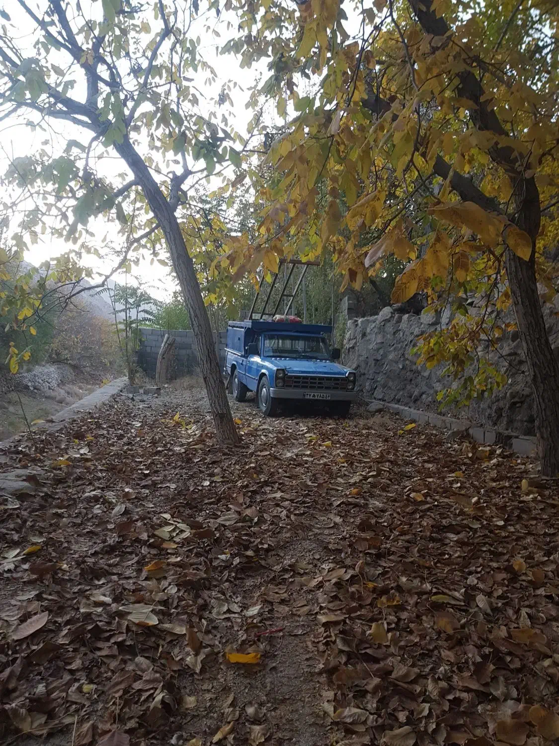 حمل بار درونشهری و بیرونشهری|خدمات حمل و نقل|یزد, |دیوار