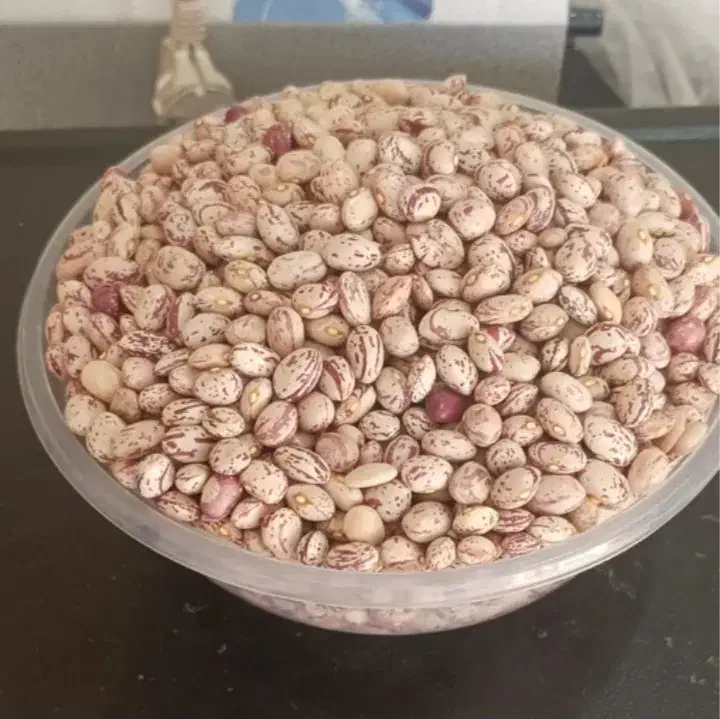 لوبیا چیتی خمین و ابلق درشت درجه یک|خوردنی و آشامیدنی|تهران, جوادیه|دیوار