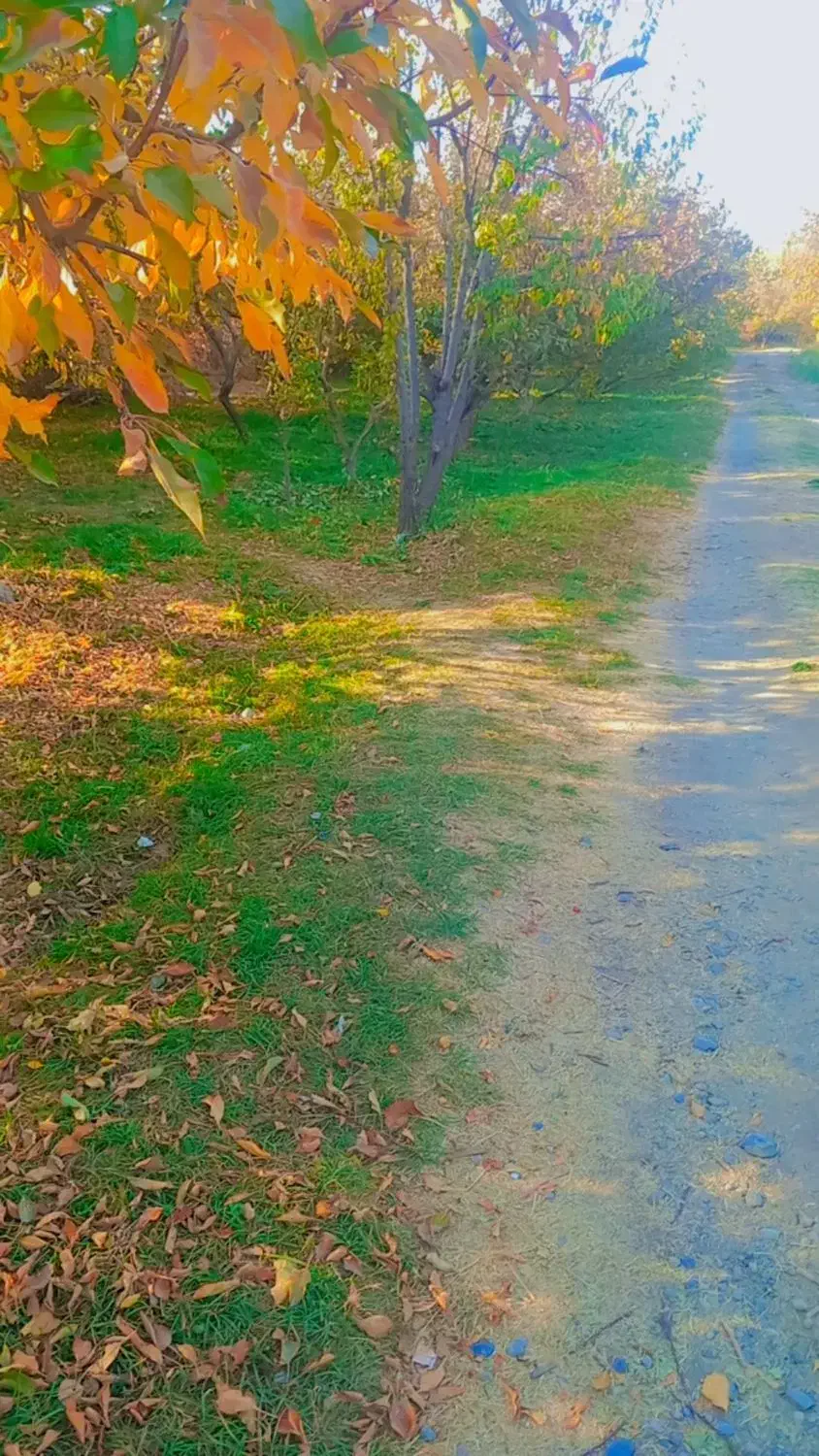 عکسی برداری.|خدمات پذیرایی، مراسم|بروجرد, |دیوار