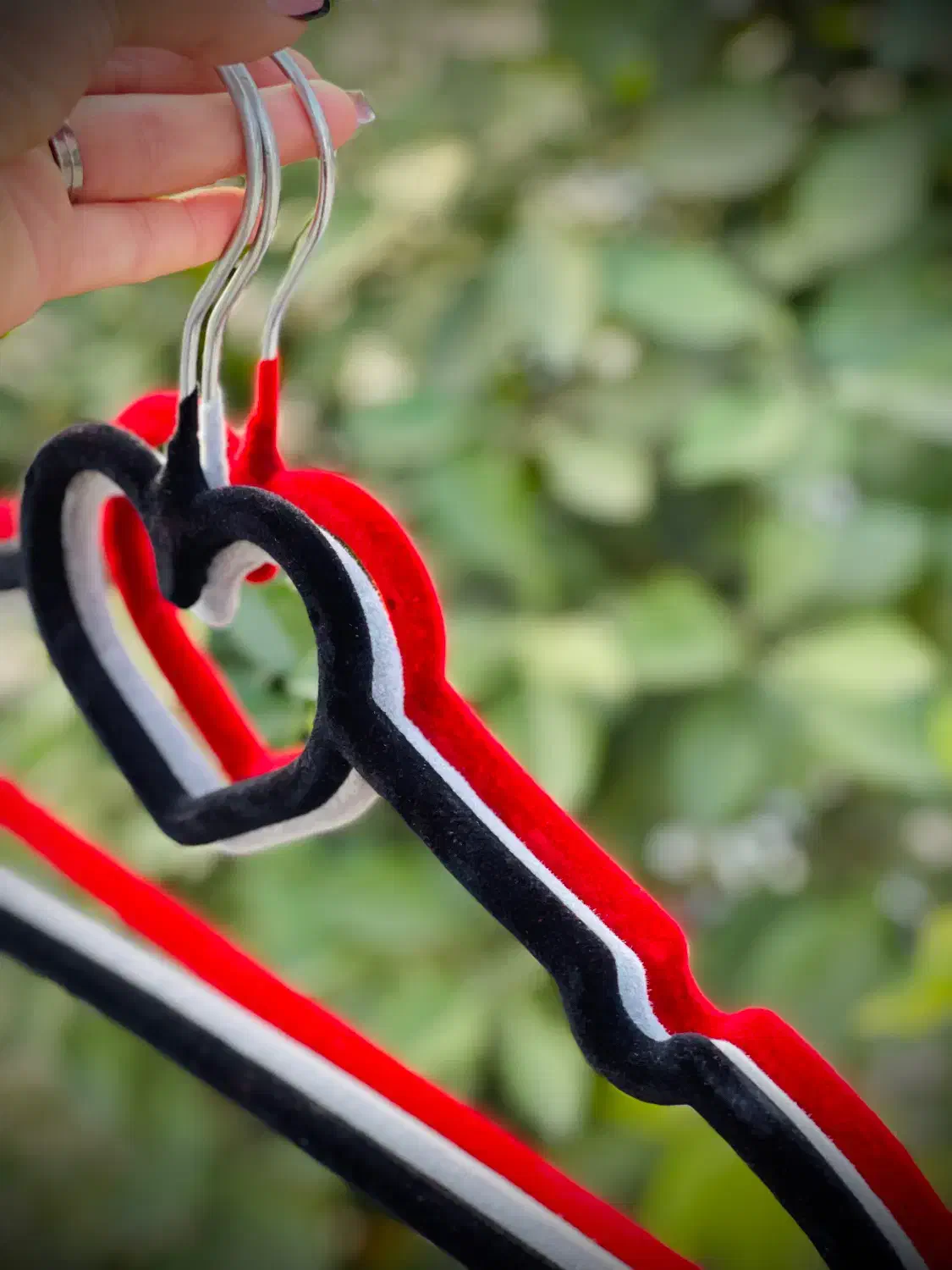 چوب لباسی|بندرخت و رختآویز|لاهیجان, گلستان|دیوار