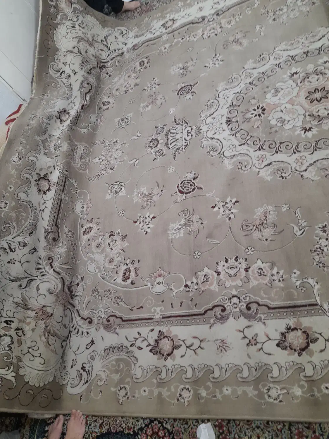 فرش ۱۲ متری|فرش|مشهد, شفا|دیوار