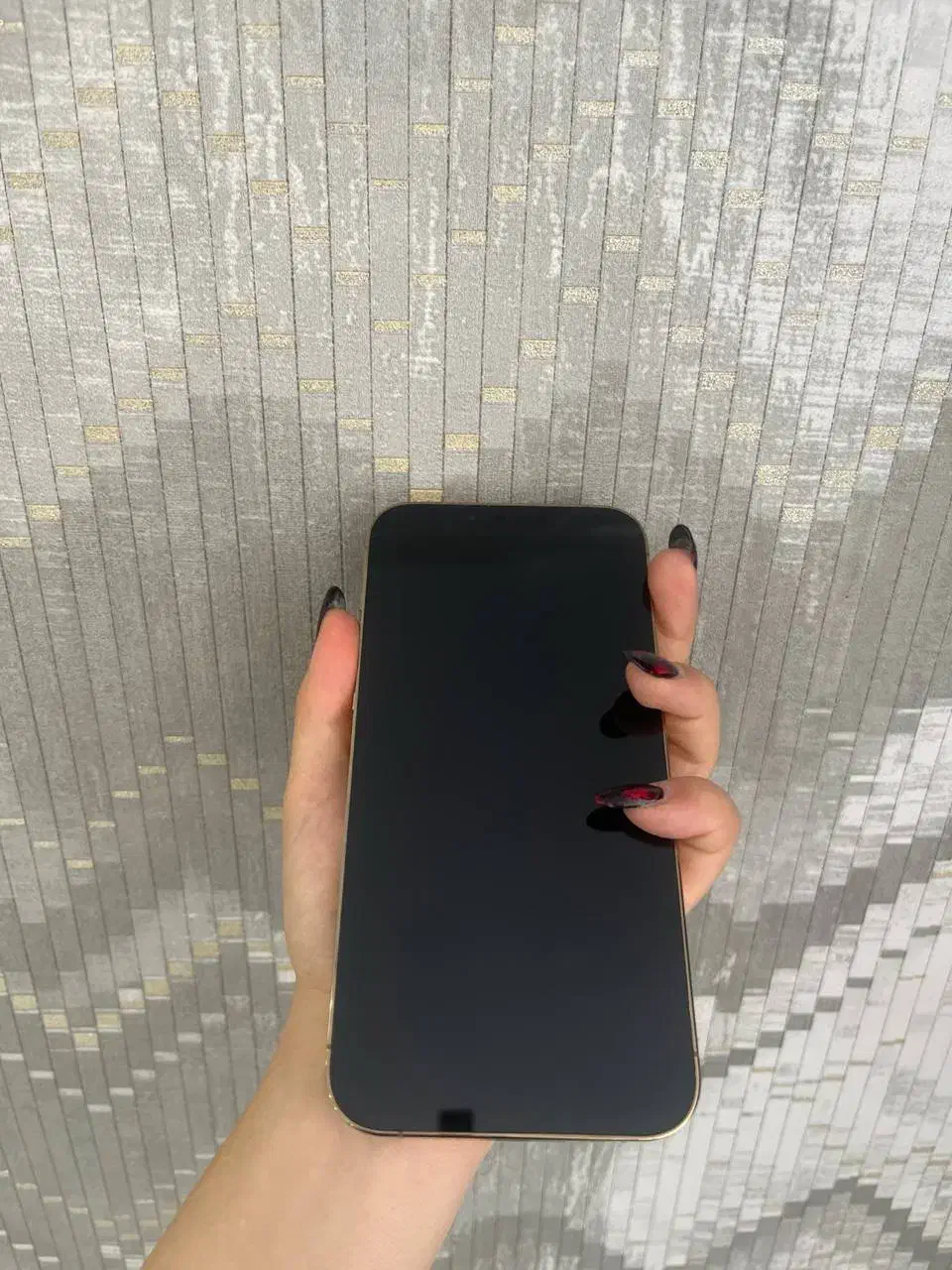 ایفون ۱۳ پرومکس اقساطی (موبایل آسیاتک)|موبایل|اهر, |دیوار