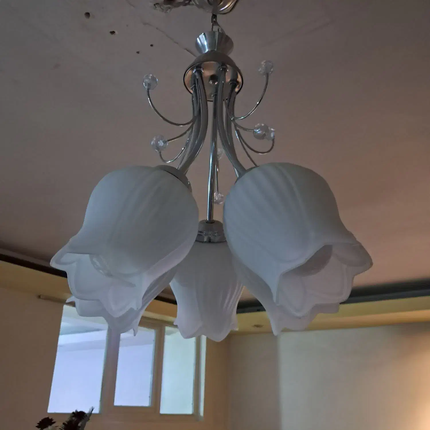 لوستر۵ شاخه لاله|لوستر و چراغ آویز|تبریز, |دیوار