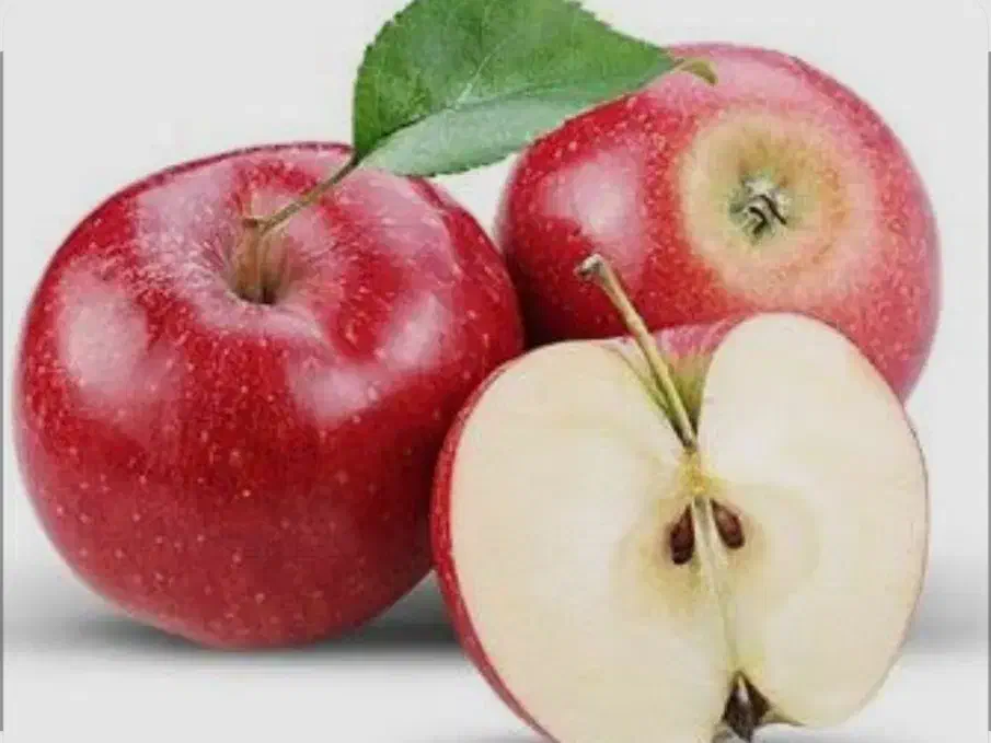 سیب درختی|عمده‌فروشی|گندمان, |دیوار