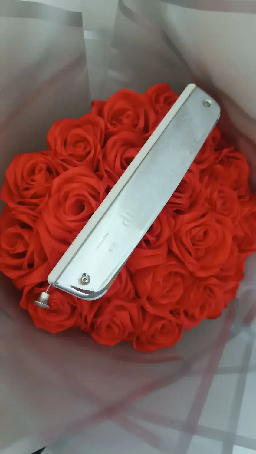 ساز دهنی.هارمونیکا|سازهای بادی|اصفهان, خانه اصفهان|دیوار