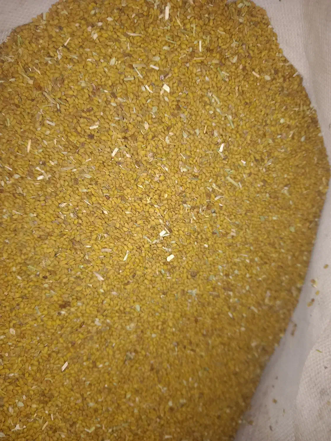 بزر یونجه|گل و گیاه طبیعی|میانه, |دیوار