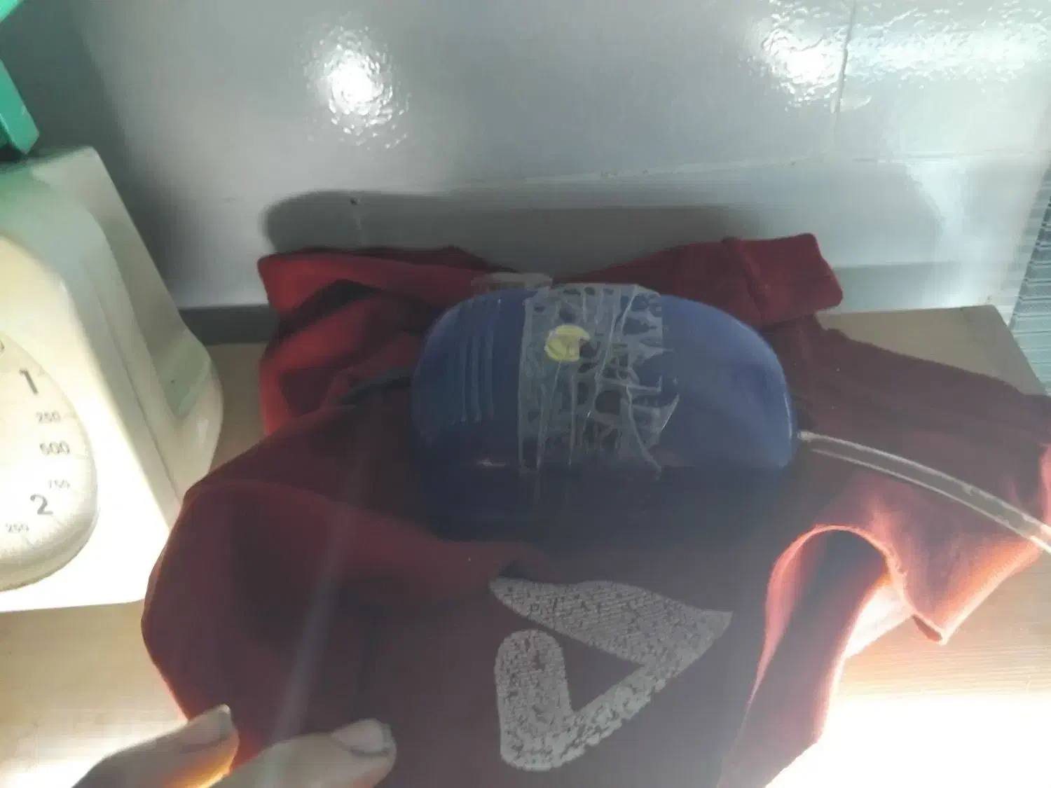 ماهی گوپی|ماهی|صوفیان, |دیوار