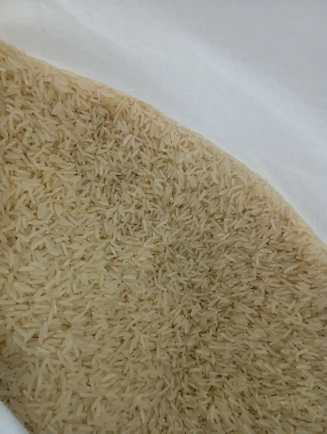 برنج فجر سوزنی|خوردنی و آشامیدنی|گنبد کاووس, |دیوار