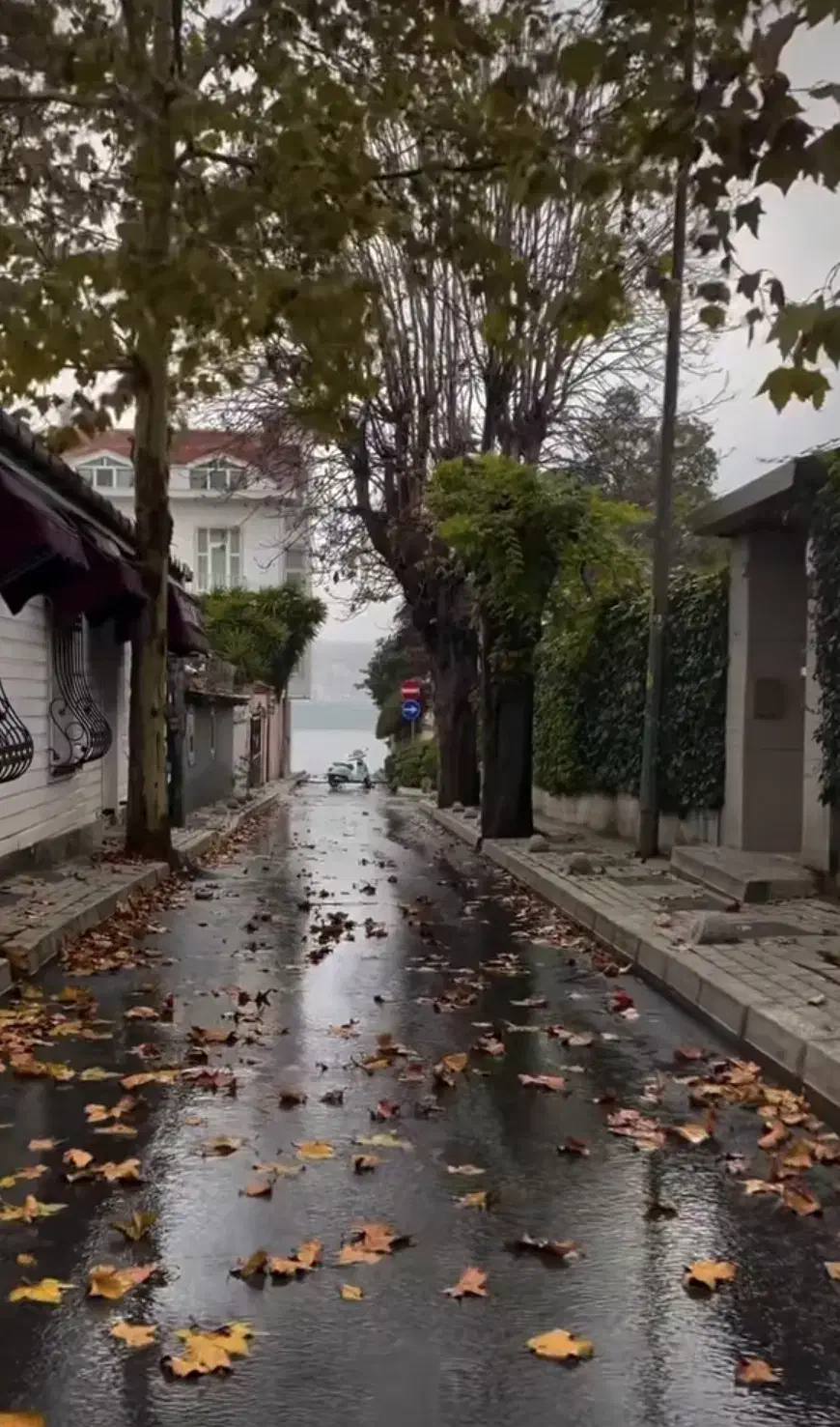 فروش ویلایی دوطبقه/چهاراه فاطمی/|فروش خانه و ویلا|بروجرد, |دیوار