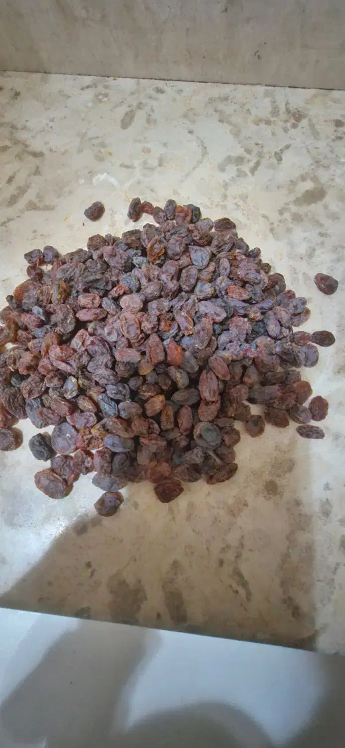 کشمش|خوردنی و آشامیدنی|تاکستان, |دیوار