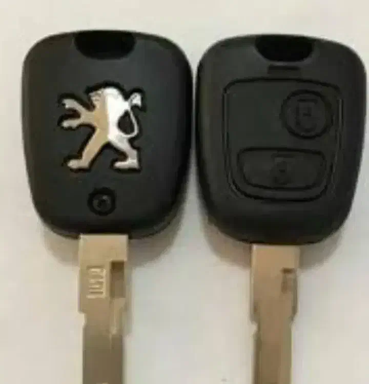 سوئیچ ۲۰۷ گمشده در محدوده هروی|اشیا|تهران, اباذر|دیوار