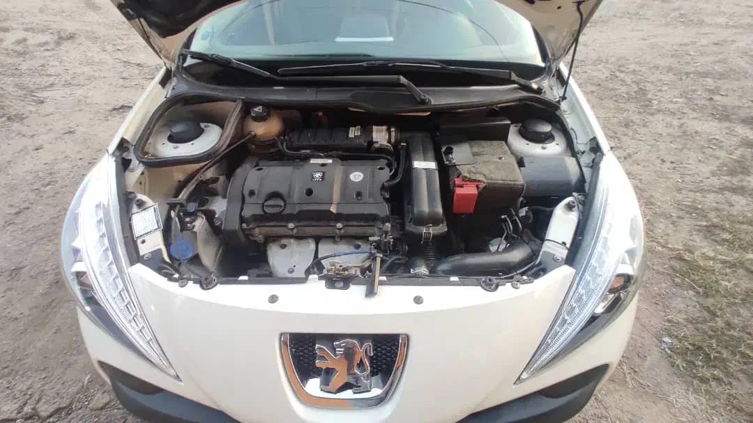 ۲۰۷ پانا ۱۴۰۲|خودرو سواری و وانت|آستانه اشرفیه, |دیوار