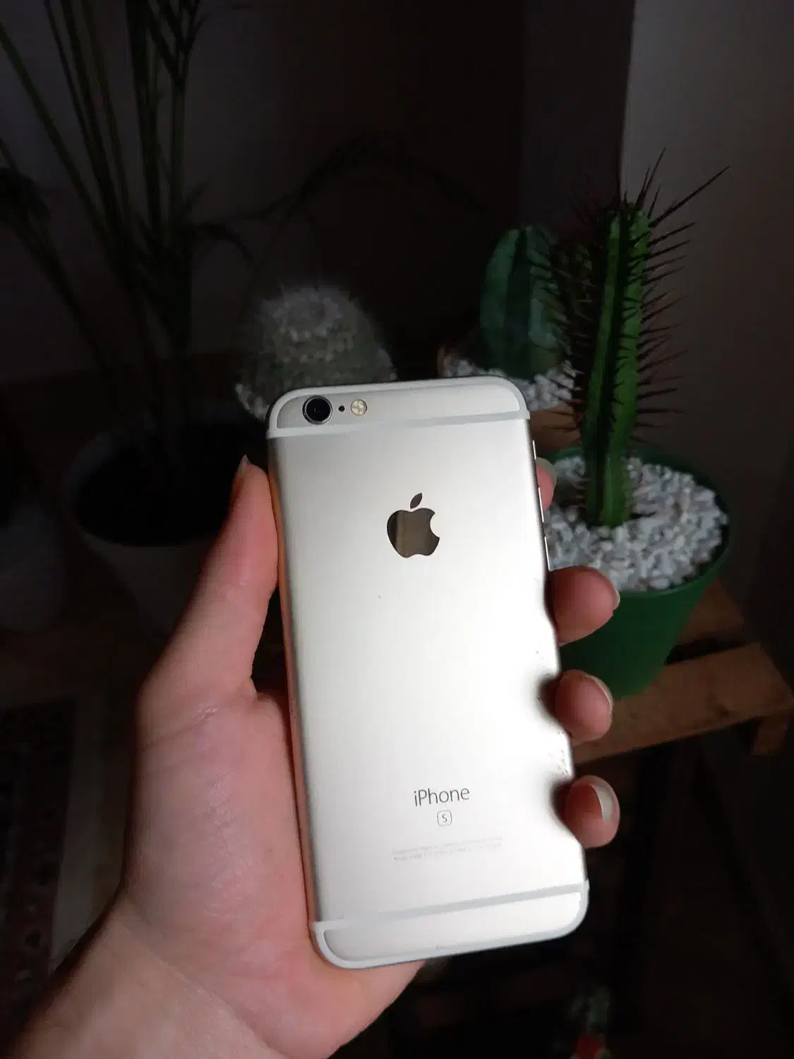 iphone 6s بازنشده|موبایل|رشت, نخودچر|دیوار